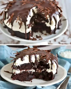 Schokoladen-Kokos-Kuchen: Einfaches Rezept für Genießer