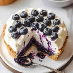 Heidelbeer-Käsekuchen ohne Backen – perfekt für den Sommer