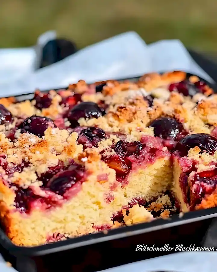 Pflaumenkuchen vom Blech: Ultrasaftig mit Zimt-Streuseln