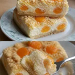 Leckere Mandarinen Schmand Kuchen Stücke auf einem Teller