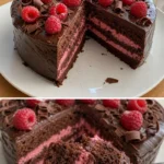 Himbeer Schoko Brownie Torte auf einem Teller serviert