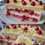 Himbeertraumkuchen Rezept mit frischen Himbeeren und cremiger Füllung