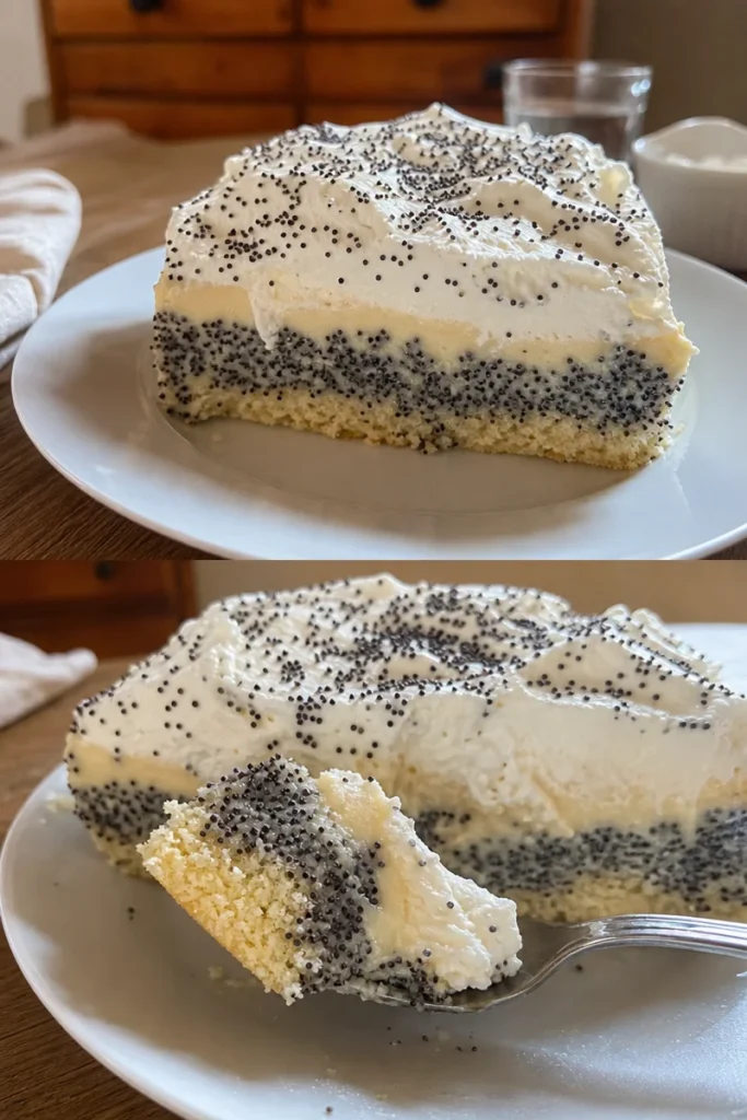 Mohnkuchen mit Pudding und Schmand 3 Mohnkuchen mit Pudding und Schmand